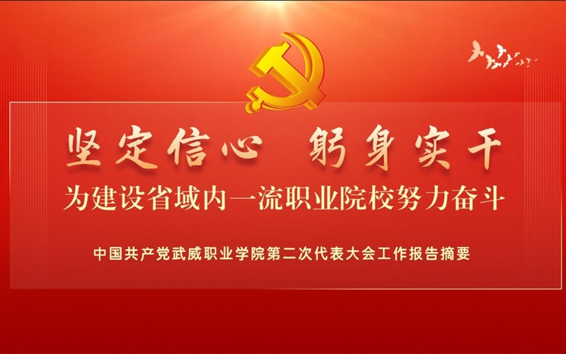 【一图速览】中国共产党亚精产品导航第二次代表大会党委工作报告